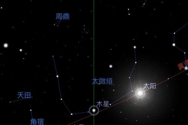 紫薇排盘入门：从命宫到各大星宿的关系