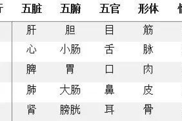丽五行属性解析及其在命理中的意义