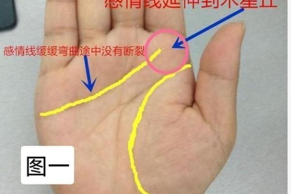 离婚女人手相分析：解读掌纹中的情感与命运变化