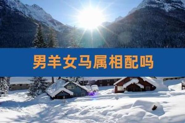 男羊女鼠在爱情中的相互影响