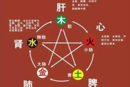 奕五行属性解析与应用探索