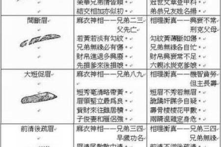 出生的人命运特点与运势解析