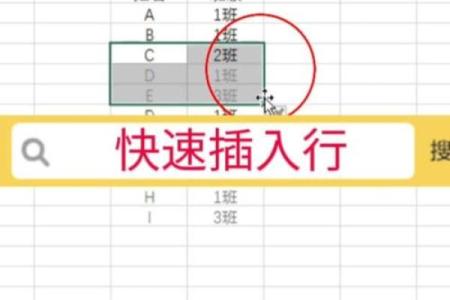 探索专业排盘软件的核心功能与操作技巧