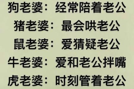 男羊女鼠在爱情中的相互影响