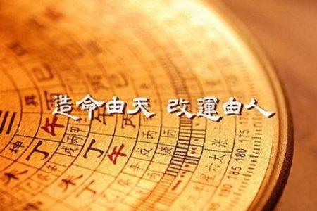 王晓晨命理深度分析：影响运势的五行八字探讨