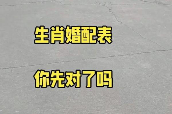 女兔男牛婚姻是否相配？探讨两者性格与婚姻契合度