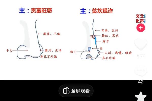 鼻子面相解析：如何通过鼻型了解一个人的性格与命运