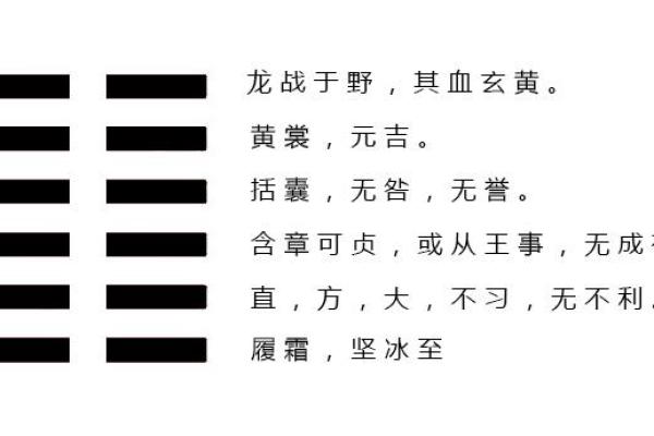 中华命理大师的预测艺术：如何解读人生的每一个转折
