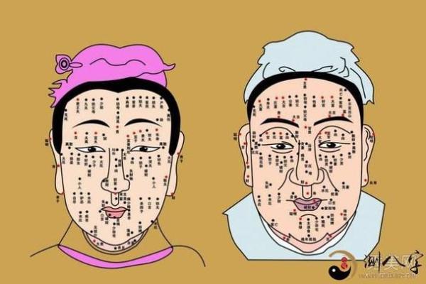 痣相无职是否影响事业发展？面相中的职业暗示