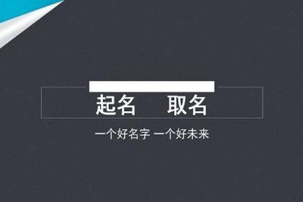 天津起名公司：科学与传统结合的命名艺术