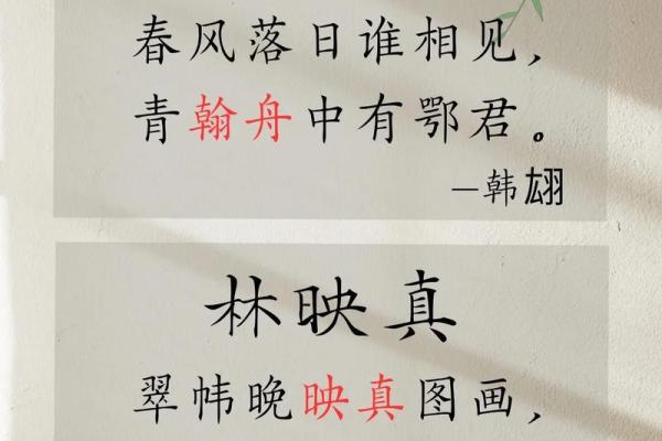 如何为林姓女孩挑选一个既独特又有文化底蕴的名字