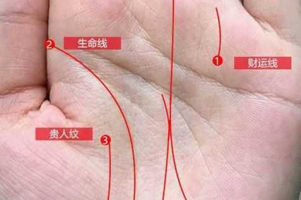 细看手相：手型、纹路与性格的密切关系