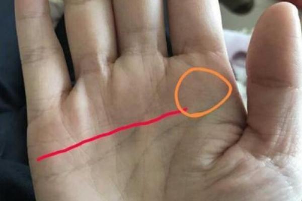 劳碌手相中的财富线：辛勤付出是否能换来财富
