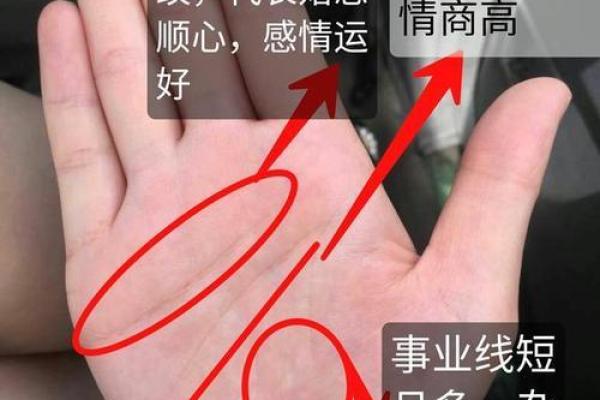 右手手相解读：事业与家庭的平衡密码