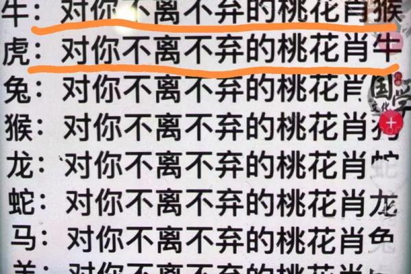 牛与虎的婚姻匹配度解析：性格互补还是矛盾重重？