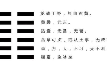 中华命理大师的预测艺术：如何解读人生的每一个转折