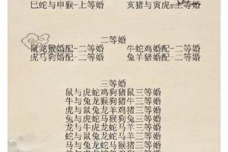 女羊男鸡婚姻配对分析：是否能走得长远？
