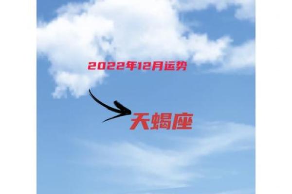 天蝎座今日运势展望：深思熟虑，收获意外惊喜
