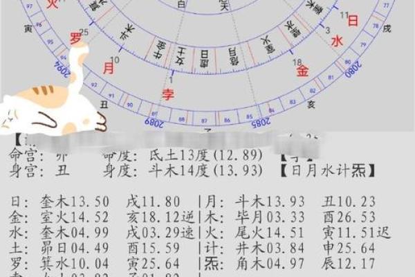 从林奕含的命理看个人命运发展与转折点