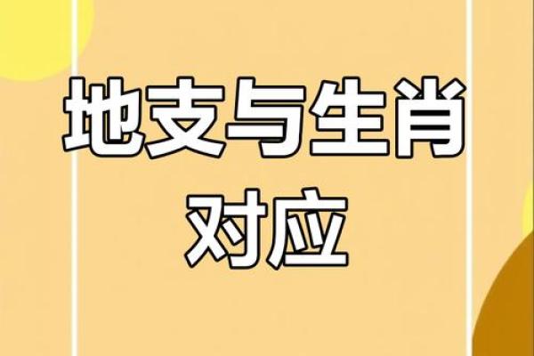 电话代表什么生肖？解密十二生肖与电话的神秘联系