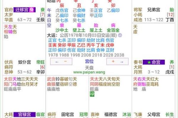 排盘系统与职业发展：找到最适合的路径