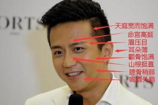从耳朵小面相看个人潜力与情感特征