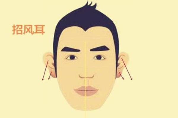 从耳朵小面相看个人潜力与情感特征