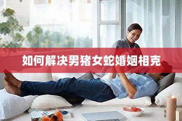蛇男猪女婚姻能否持久？探究性格差异对关系的影响