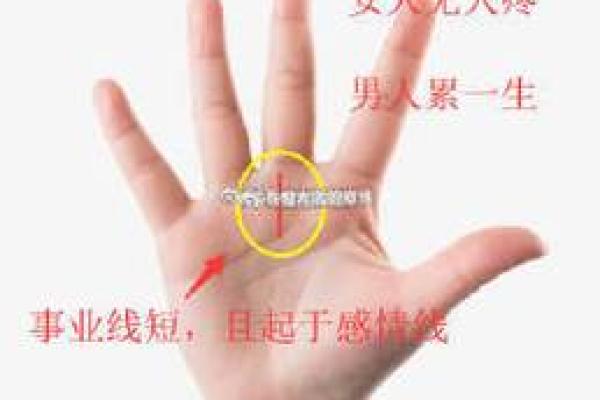 解读成功人手相：发现你的事业突破点