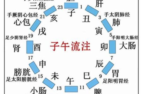 十天干与脏腑的深层联系解析