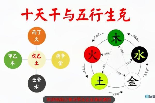 十天干与脏腑的深层联系解析