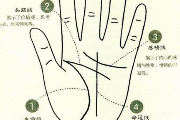 手相命运纹：掌握命运的密码，发现未来的可能