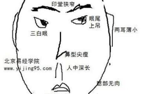 小人面相特征解析与识别技巧