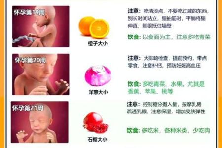胎命与命运的关系：从命理学角度看