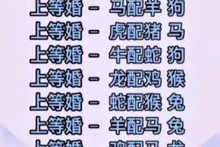 电话代表什么生肖？解密十二生肖与电话的神秘联系