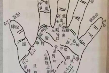 手相分析揭示肠胃健康的秘密