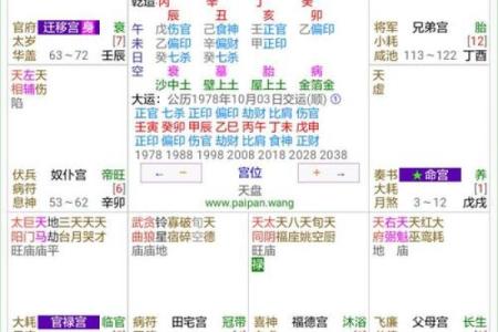 排盘系统与职业发展：找到最适合的路径