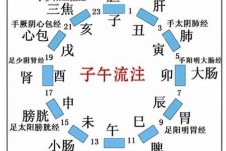 十天干与脏腑的深层联系解析