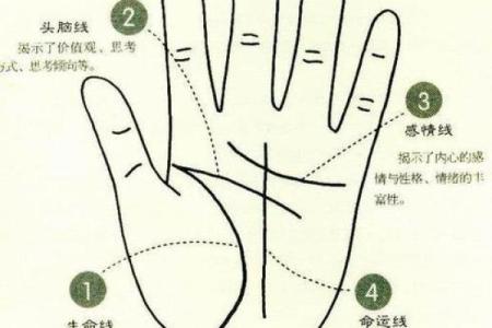 手相命运纹：掌握命运的密码，发现未来的可能