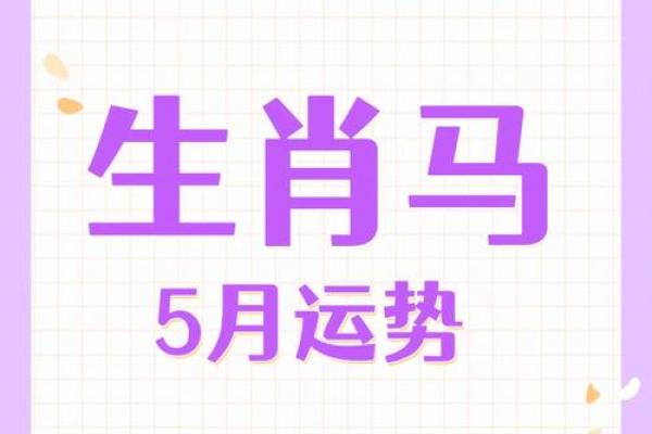 属马人如何化解命运中的挑战