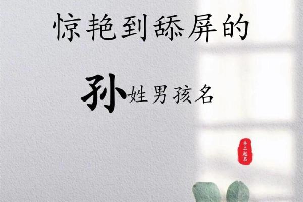 孙姓男宝宝起名推荐，独特有寓意的名字选择