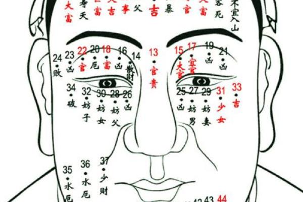 痣相无职的面相解析：命运与职业之间的关系