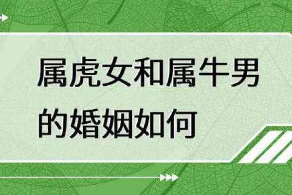 女虎男猴婚姻能否长久？性格契合度深度解读