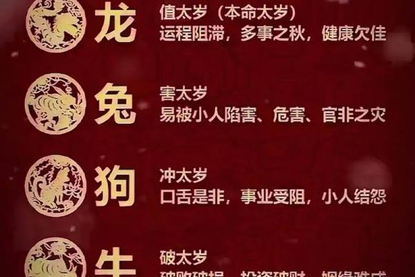 出生属什么生肖及其命运走向