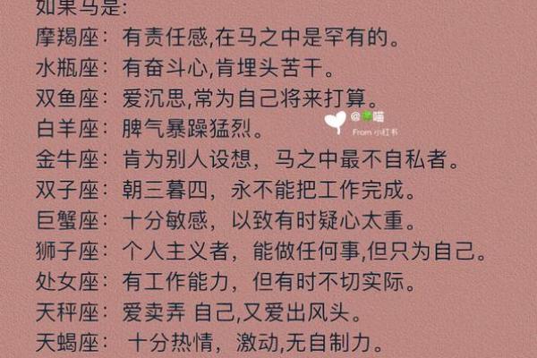 属马人的命运解析与性格特点