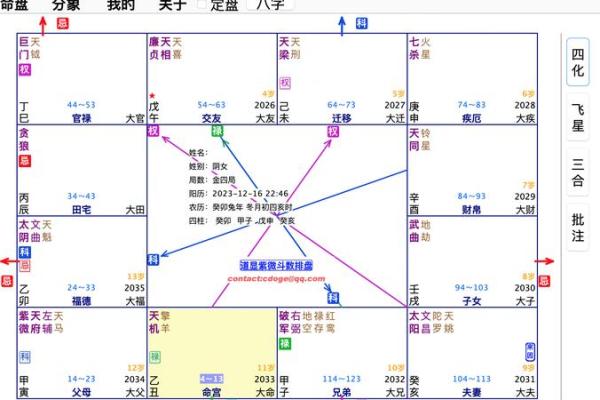 初学者如何轻松上手紫微排盘分析