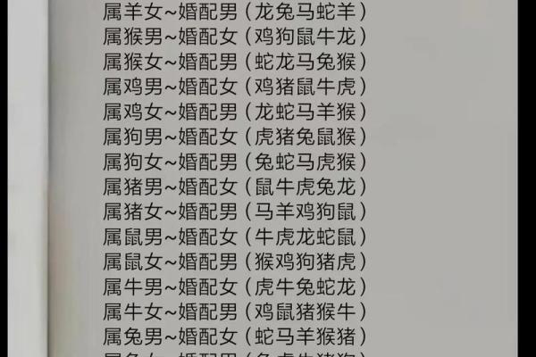 女蛇男狗婚姻能否长久？深入解析两者关系的潜力