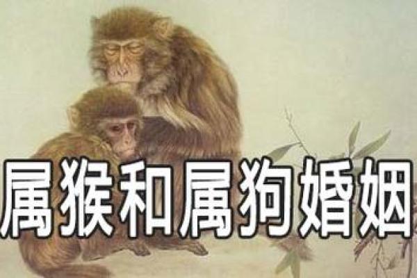 女蛇男狗婚姻能否长久？深入解析两者关系的潜力