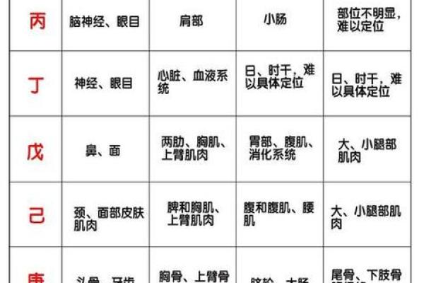 时天干地支快速推算技巧与应用分析