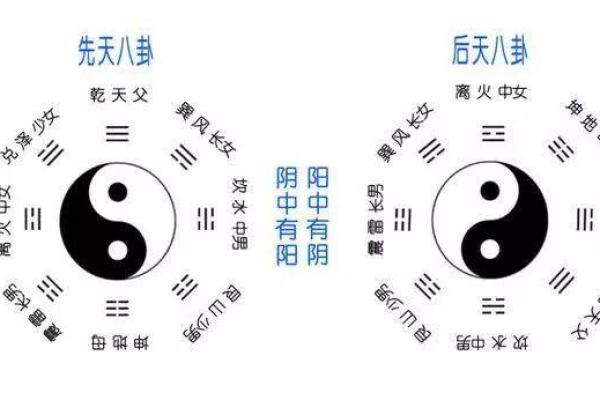 堇字的五行属性解析及其与命理的关系